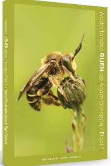 thumbnail - Nederlandse bijen op naam brengen - deel 1